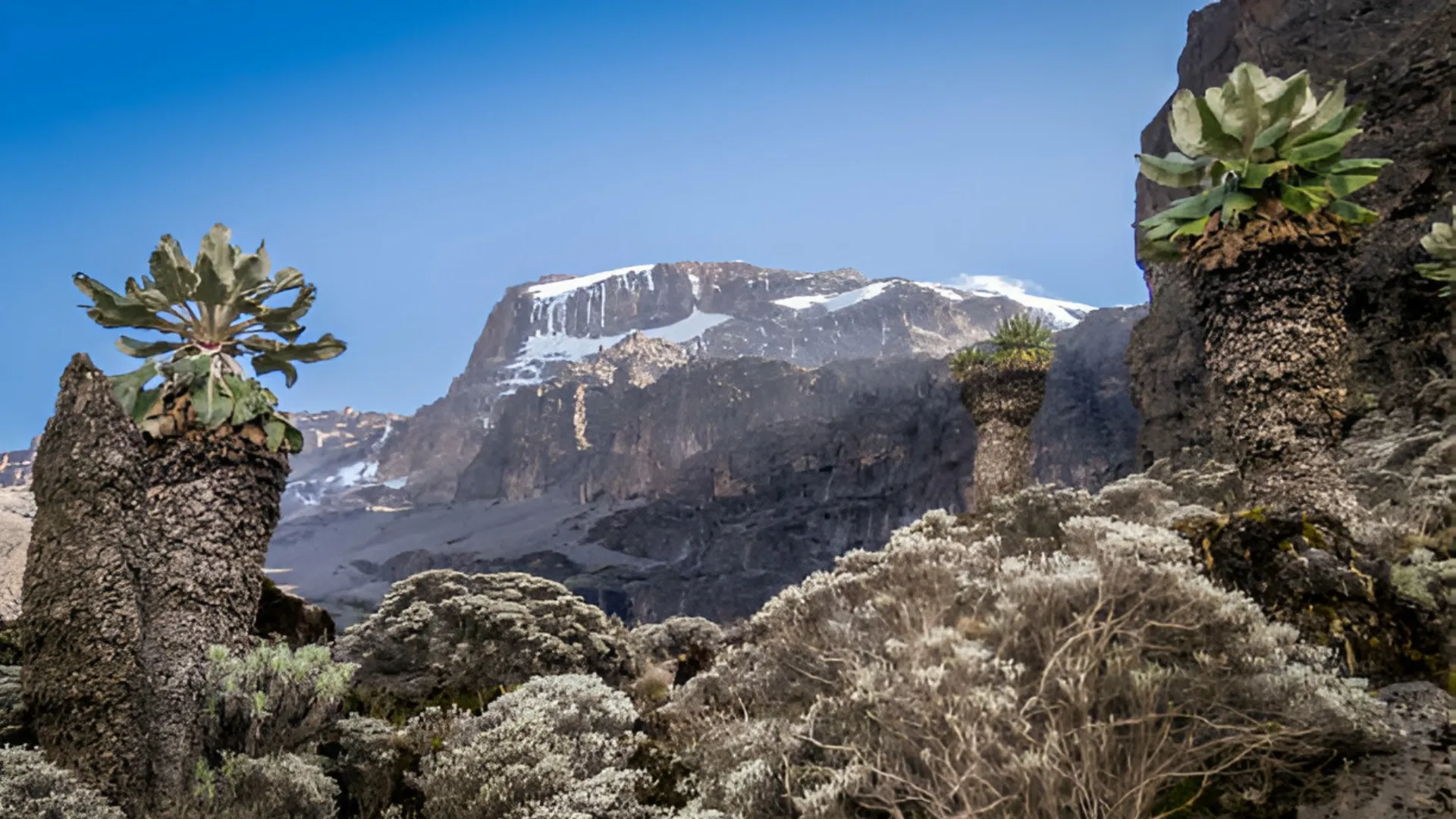 LAVA TOWER TO BARRANCO WALL route on kilimanjaro (1)