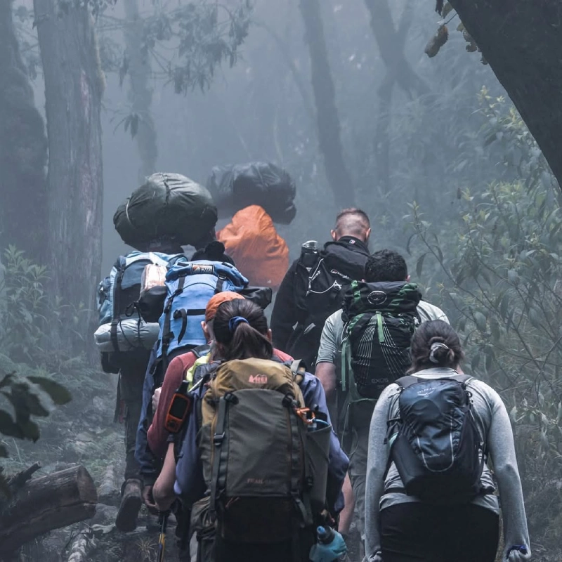 machame-route-forest