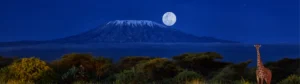 KILIMANJARO FULL MOON CLIMB