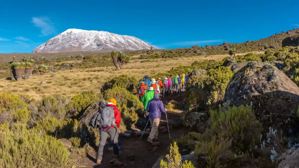 How Much Does Hiking Kilimanjaro Cost? Complete Price