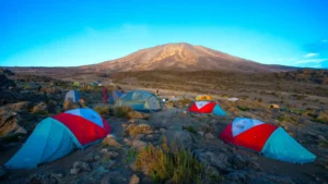 Top Kilimanjaro hiking companies providing high-quality guides and equipment