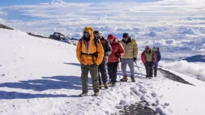 Top Kilimanjaro hiking companies providing high-quality guides and equipment
