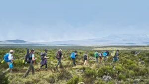 When Should You Climb Kilimanjaro?