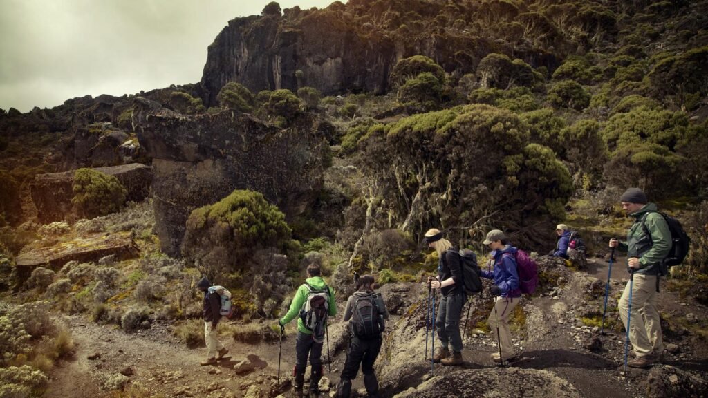 Essential Skills for Effective Mountaineering Training
