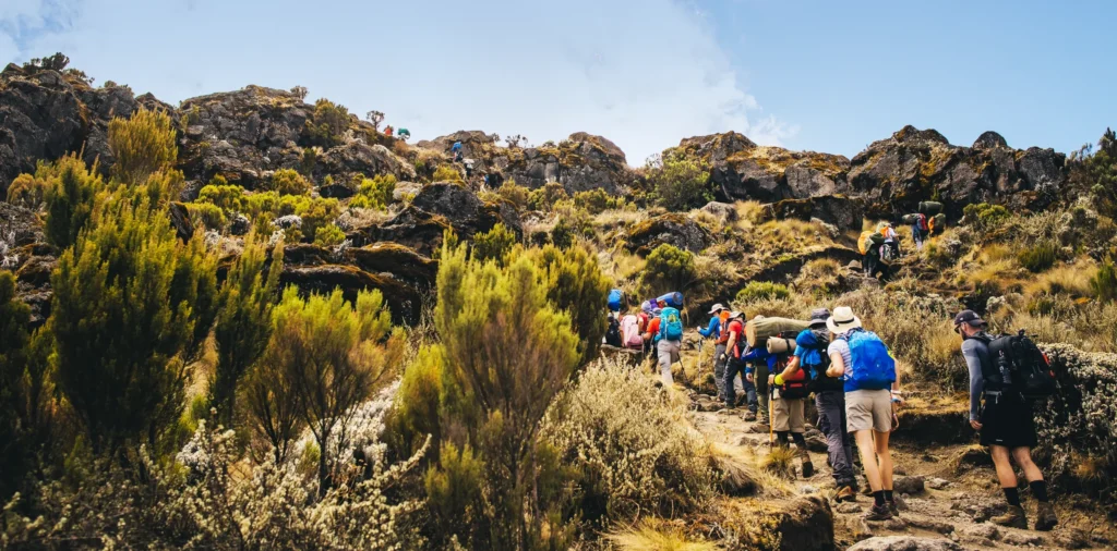 mount kilimanjaro travel insurance